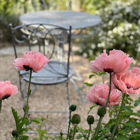 B&B Rosenliebe-2