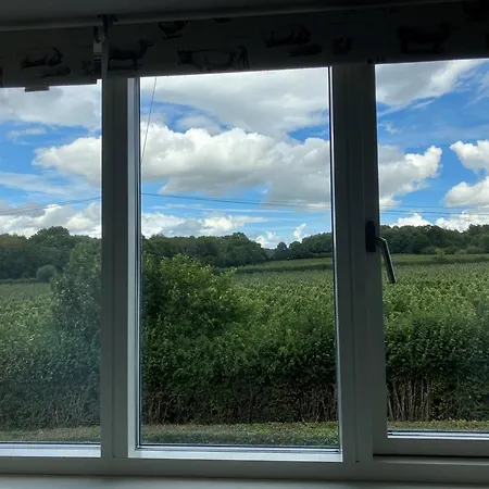 Withy Farm-2