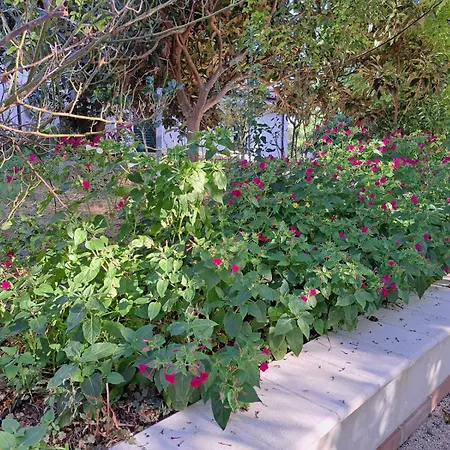 La Casa nel Verde-3