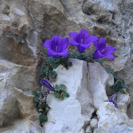 B&B Dolomia-3