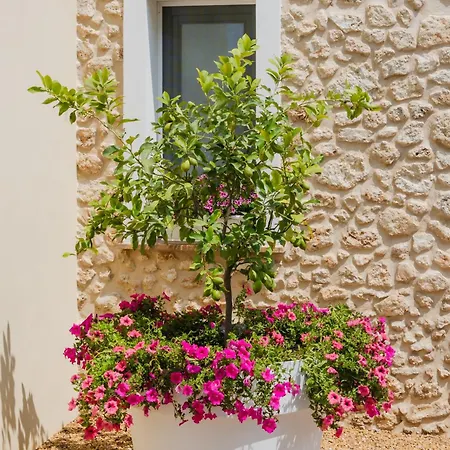 Giallo Ficodindia-2