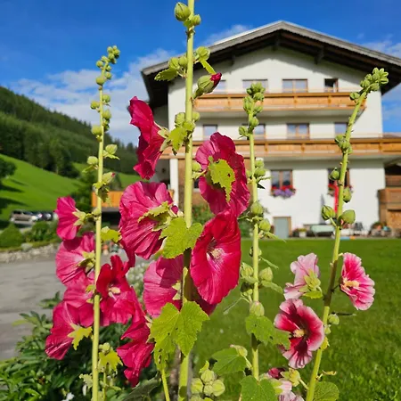 Bergkristall B&B-2