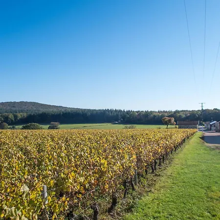 Domaine Joseph Lafarge Wine Resort B&B-2