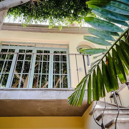 Casa Florida-2