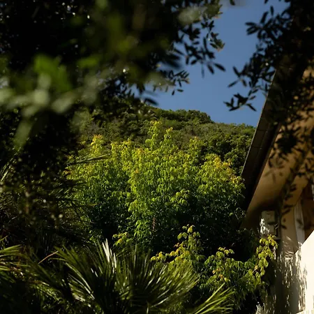 Cavalieri B&B-2