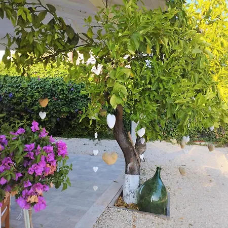 B&B Villa Nancy-3