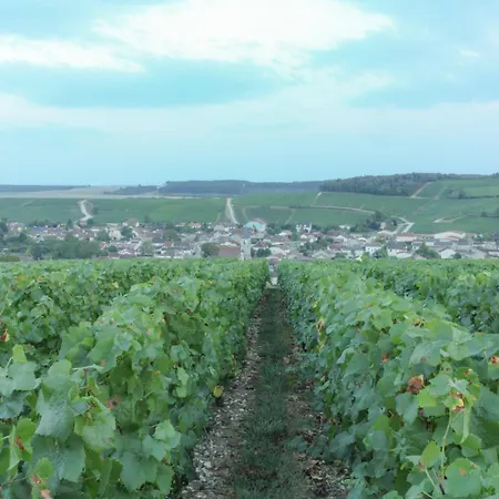 Une Parenthèse en Champagne-2