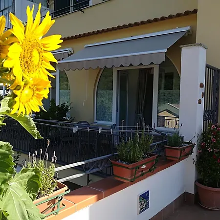 Il Covo Delle Civette-3