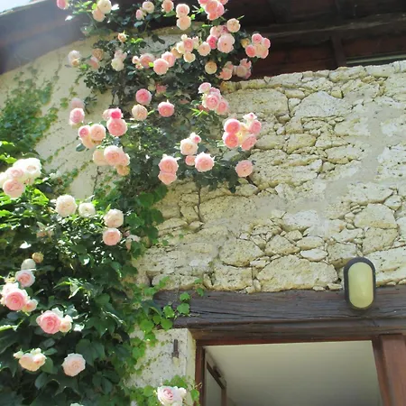 Jardin d'En Naoua-2