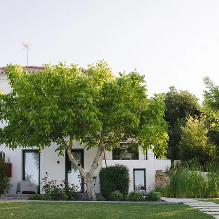 Cambeiros - Guest House-3