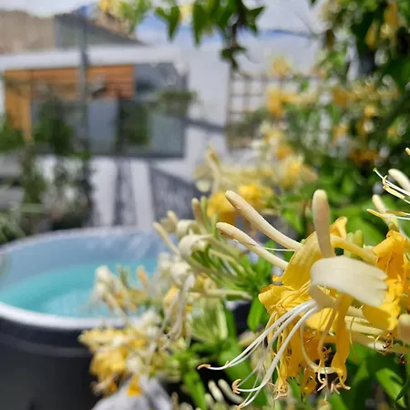 Le Petit Patio-2