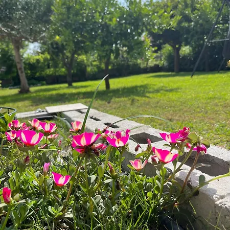 B&B Da Francesco-3