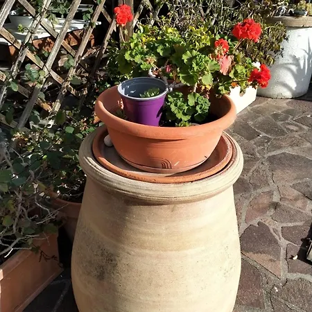 B&B A Casa di Mael-2