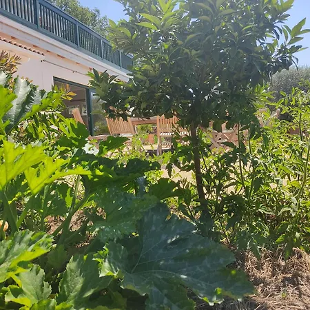 Les Jardins Celestes-2