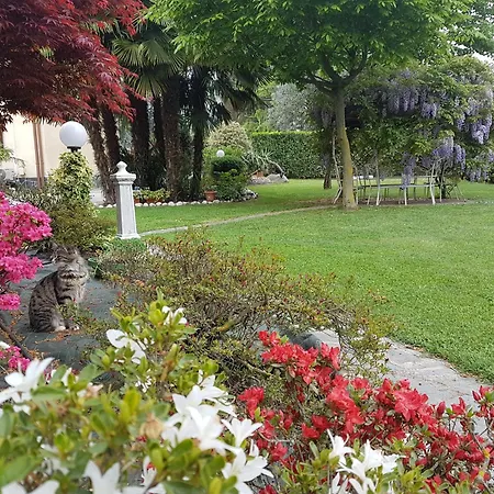 B&B Le Palme-2