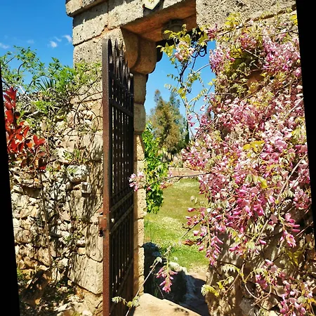 B&B Borgo del Gallo-3