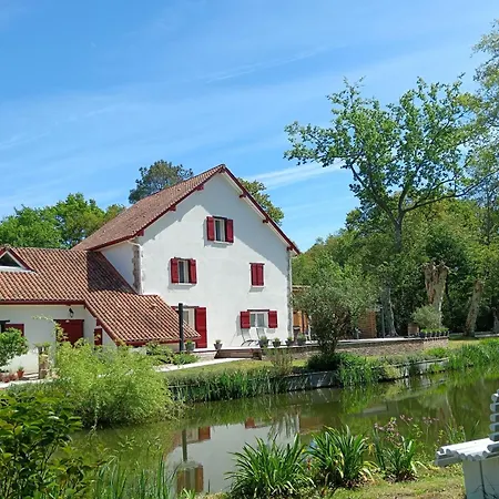Le Moulin De Saubrigues-2