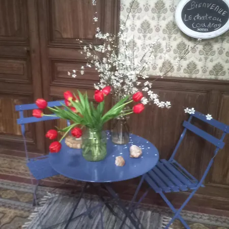 Le Chateau Du Grand Coudray-2