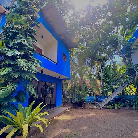 Jungle Fence-2