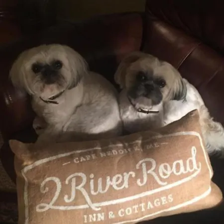 2 River Road Inn & Cottages-2