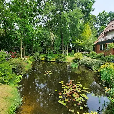 B&B Dersum Dream-2