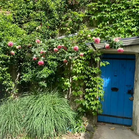 Maison du Loup-2