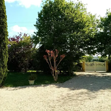 Le chêne blanc-2