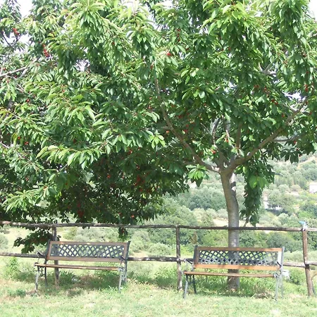 Villa Le Torrette-3