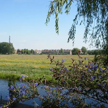 B&B-Edam-2