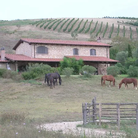 Casale Farnesiana B&B-3
