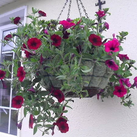 Seafield House B&B-2