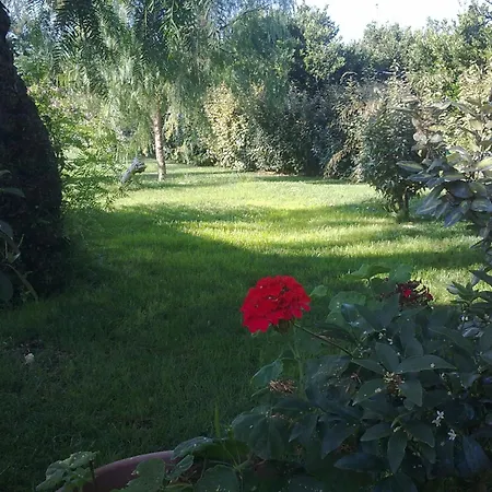 Mylife B&B Country House-3