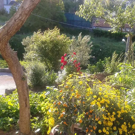 Il Cottage B&B-2