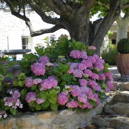 Bastide de Fontvieille-3