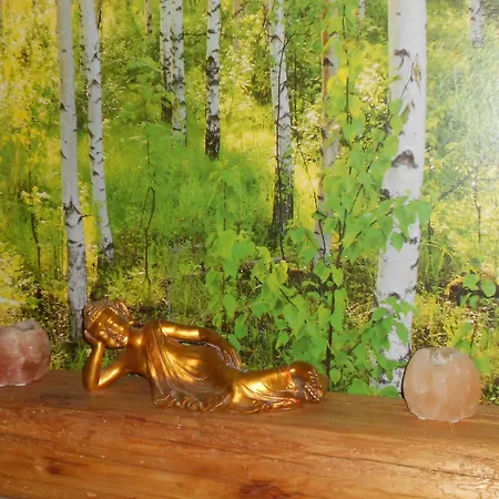 Bed & Breakfast Al Nettuno-2