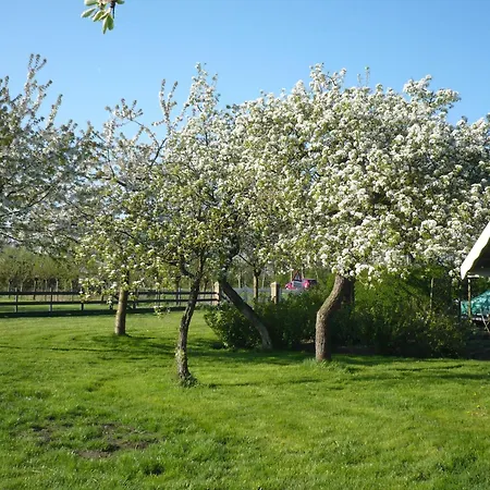 Shepherds House B&B-3