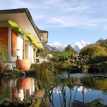 Adventure Guesthouse Interlaken-3