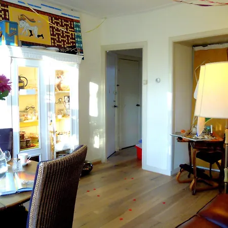 Missortelia B&B-3