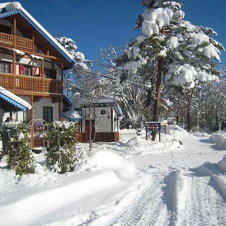 Alpine Wind-3