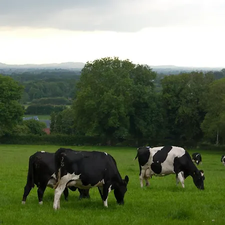 Ballindrum Farm B&B-3