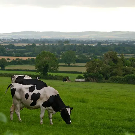 Ballindrum Farm B&B-2