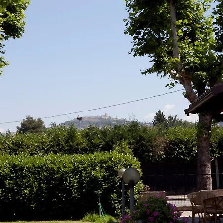 B&B Raffiori-3