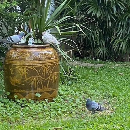 Baan Orapin-2