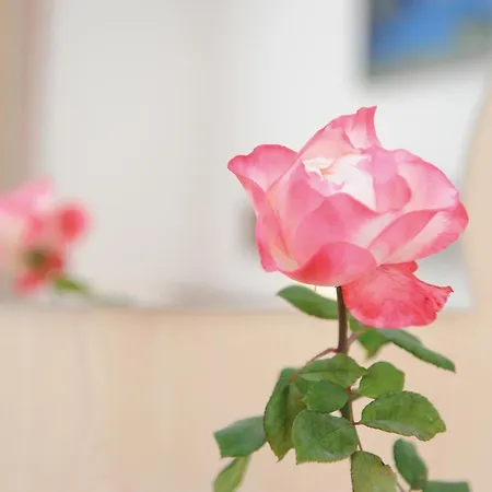 Hotel-Garni Seestrand-2