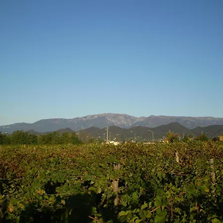 Col Delle Rane-3