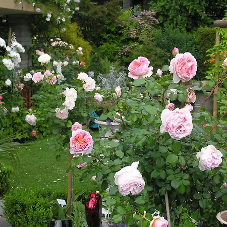 Im Roeseligarten-3