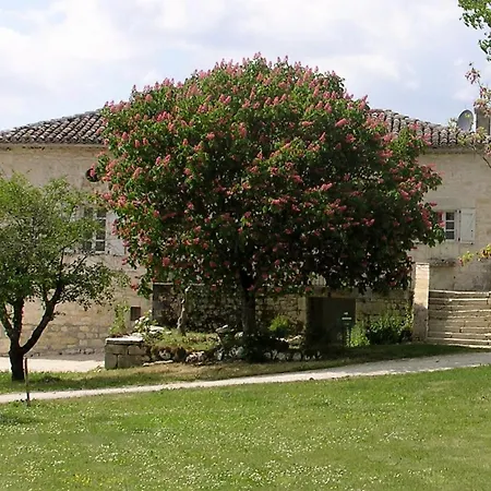 Domaine de L'Isle Basse-3