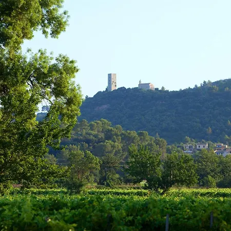 Chateau De Saint Martin-3