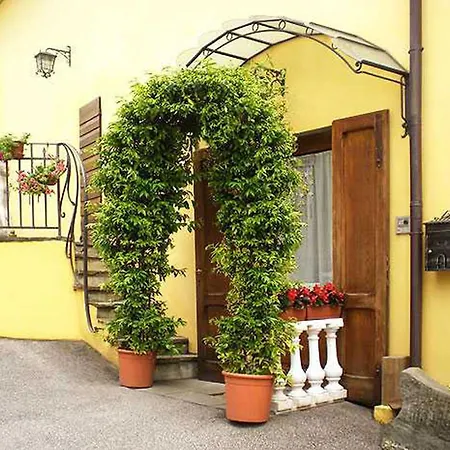 Ulivo Rosso-3