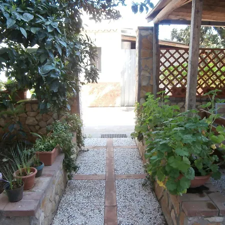 Busalacchi B&B-2